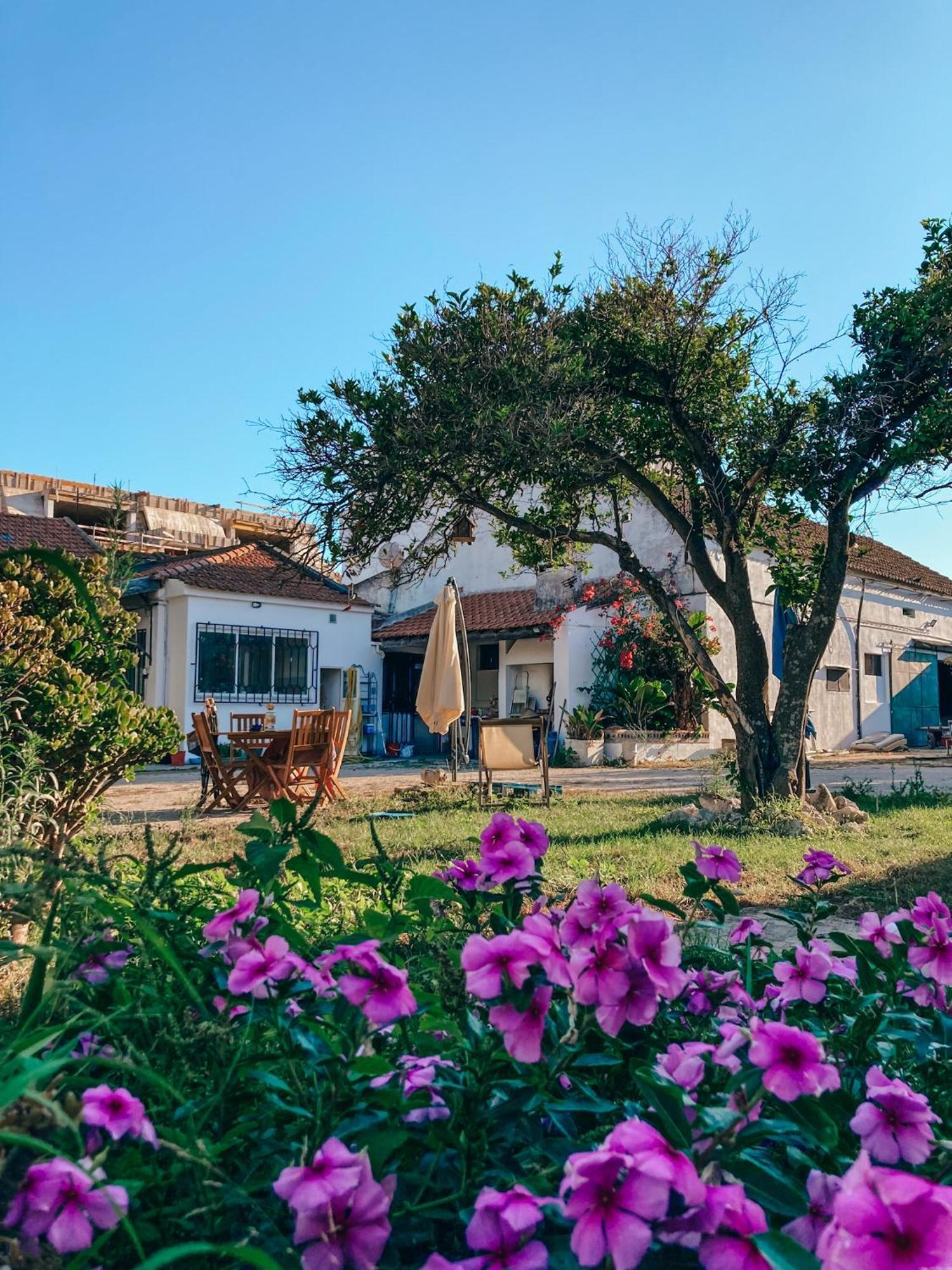 Montijo Garden - Studio With Garden View Exterior foto